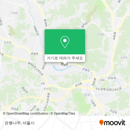 은행나무 지도