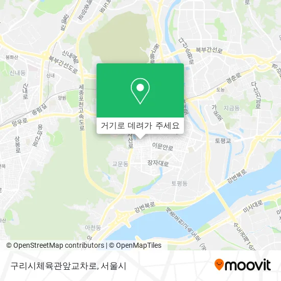 구리시체육관앞교차로 지도