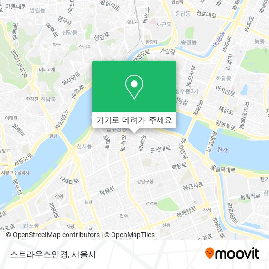 스트라우스안경 지도