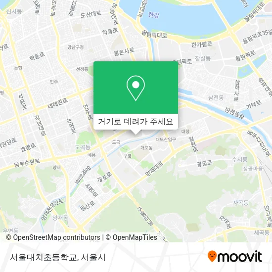 서울대치초등학교 지도