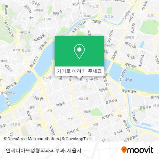 연세디아뜨성형외과피부과 지도