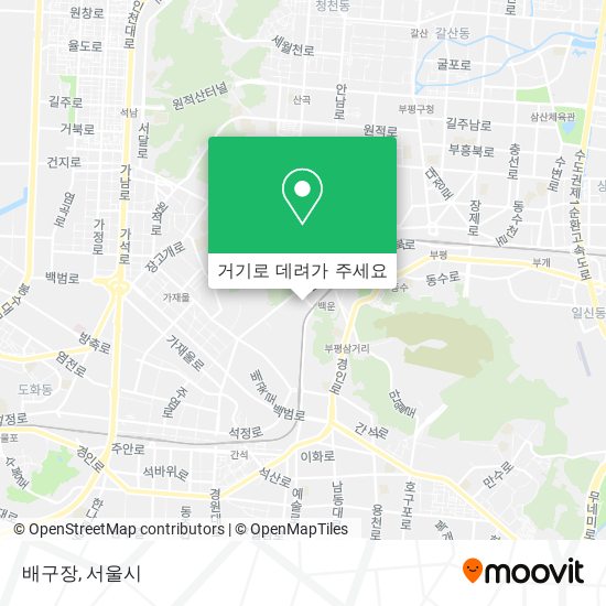 배구장 지도