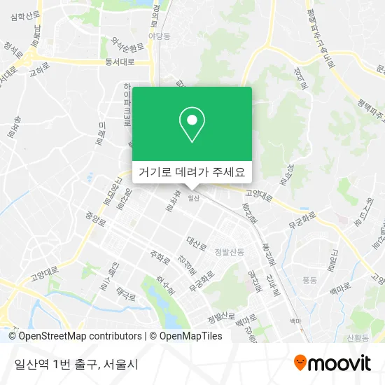 일산역 1번 출구 지도