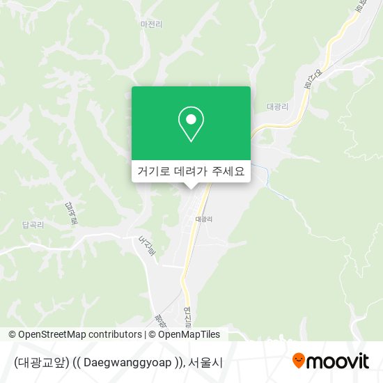 (대광교앞) (( Daegwanggyoap )) 지도