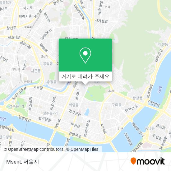 Msent 지도