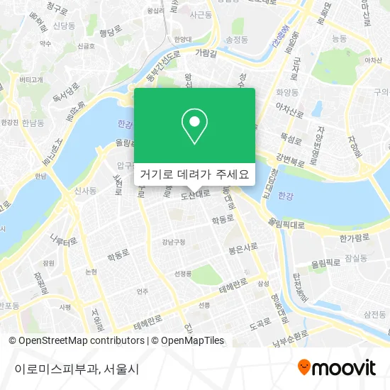 이로미스피부과 지도