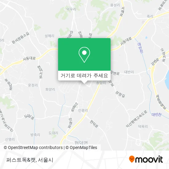 퍼스트독&캣 지도
