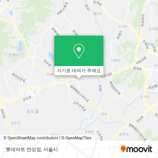 롯데마트 안성점 지도