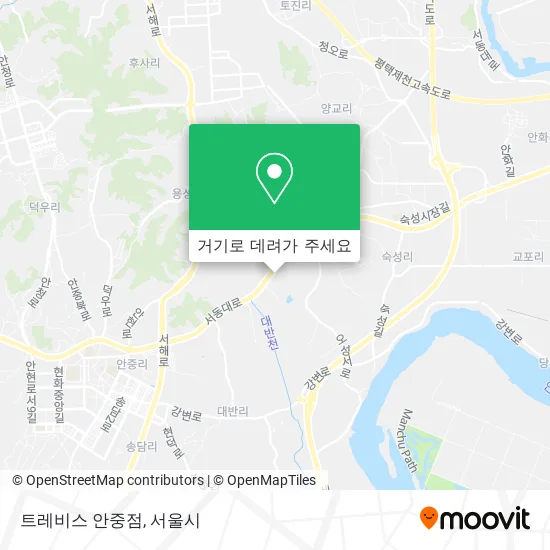트레비스 안중점 지도