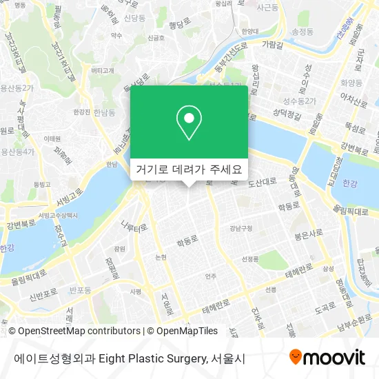 에이트성형외과 Eight Plastic Surgery 지도