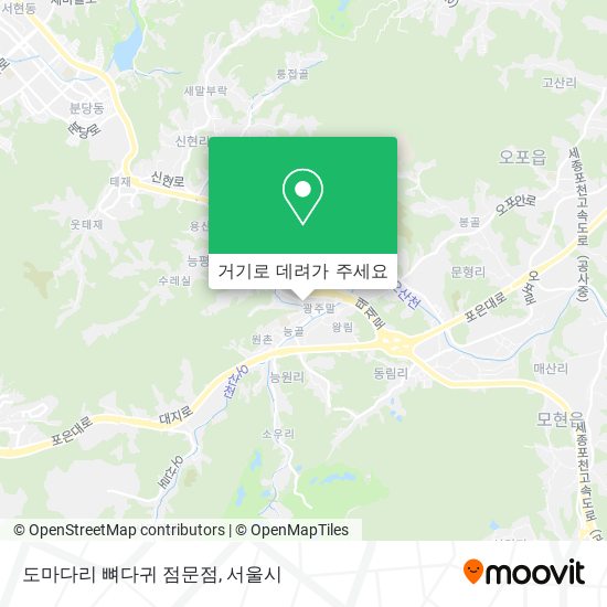 도마다리 뼈다귀 점문점 지도