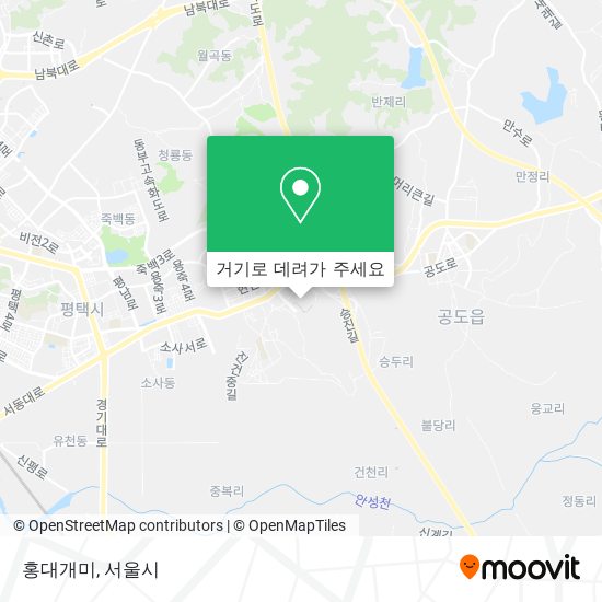 홍대개미 지도