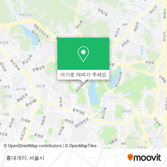 홍대개미 지도