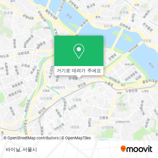 바이닐 지도