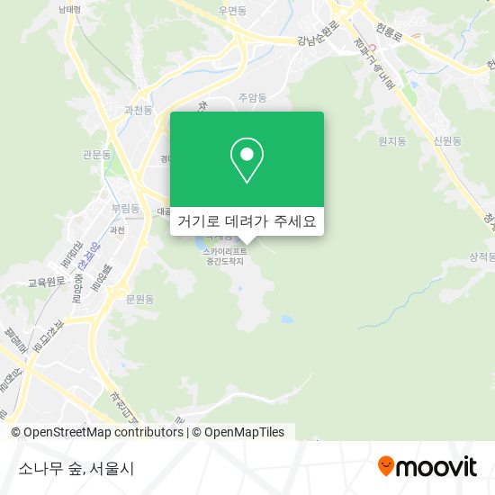 소나무 숲 지도