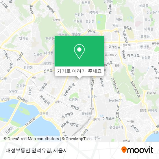 대성부동산.옆석유집 지도