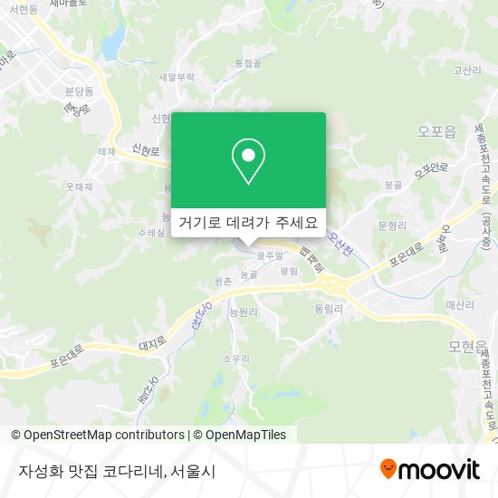 자성화 맛집 코다리네 지도