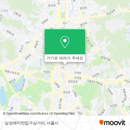 삼성래미안입구삼거리 지도