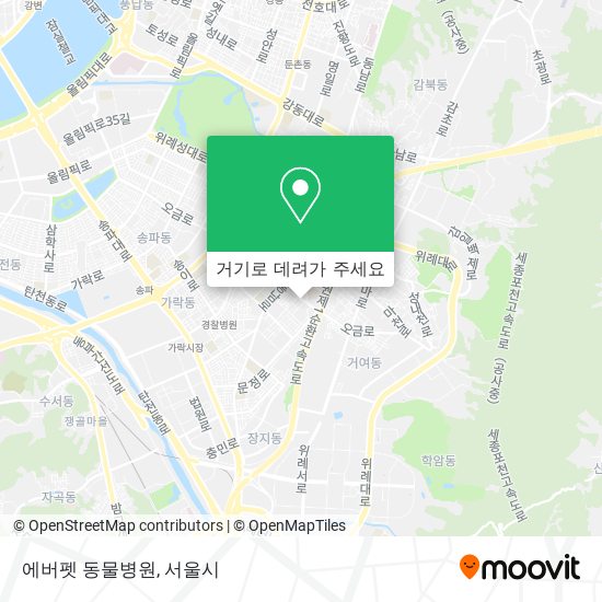 에버펫 동물병원 지도