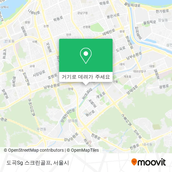 도곡Sg 스크린골프 지도