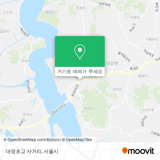 대명초교 사거리 지도