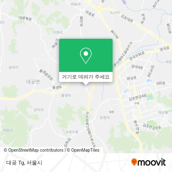 대곶 Tg 지도