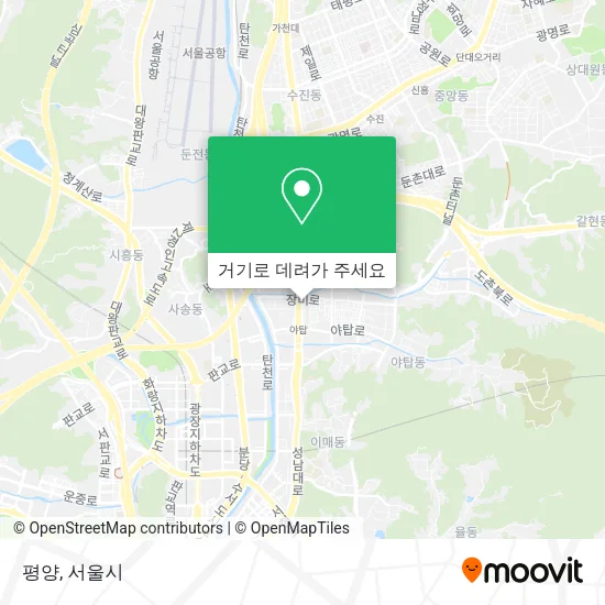 평양 지도