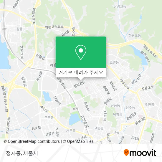 정자동 지도