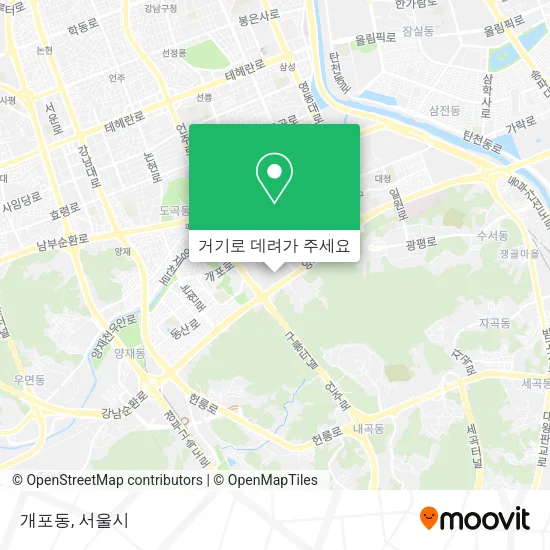 개포동 지도