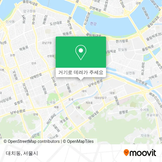 대치동 지도