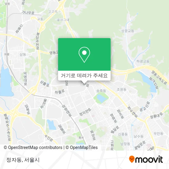 정자동 지도