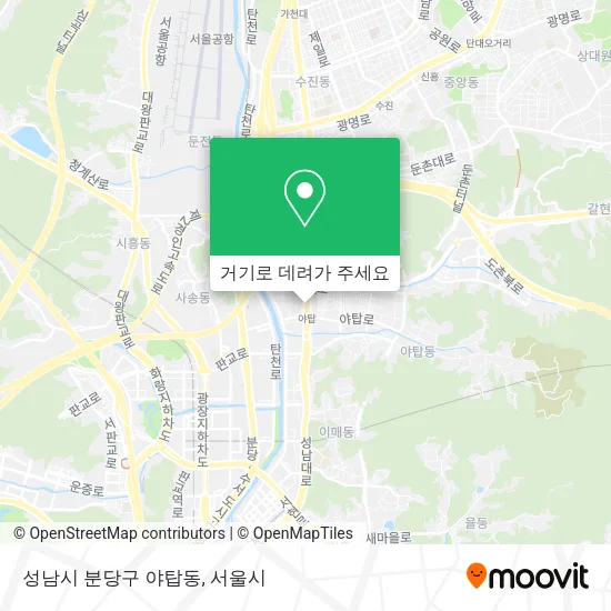 성남시 분당구 야탑동 지도
