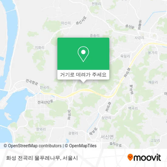 화성 전곡리 물푸레나무 지도