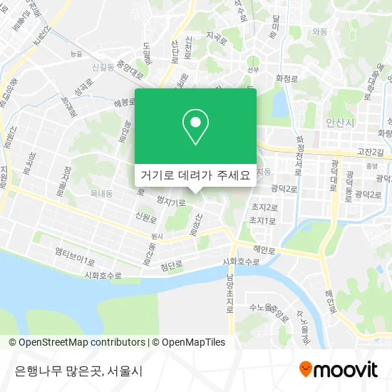 은행나무 많은곳 지도
