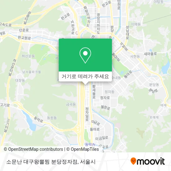 소문난 대구왕뽈찜 분당정자점 지도