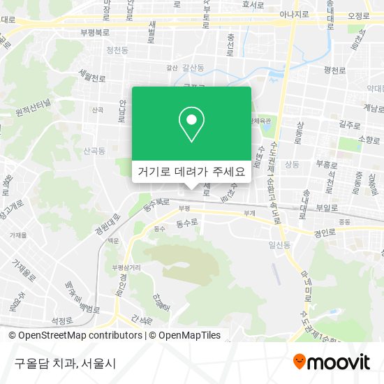 구올담 치과 지도