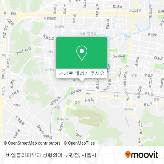 비엘클리피부과,성형외과 부평점 지도