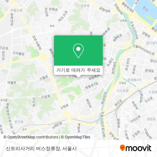 신트리사거리 버스정류장 지도