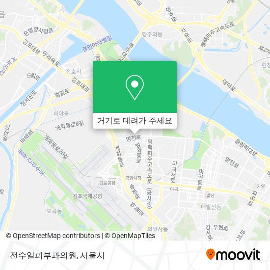 전수일피부과의원 지도