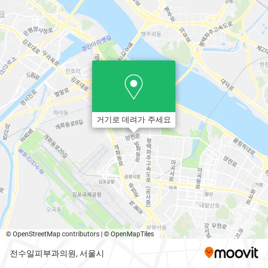 전수일피부과의원 지도