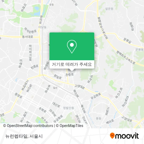 뉴런렙타일 지도
