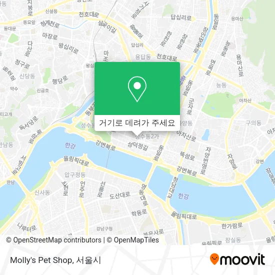 Molly's Pet Shop 지도