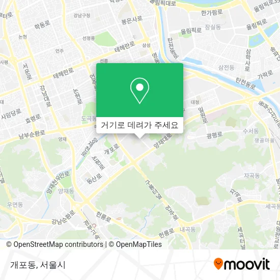 개포동 지도