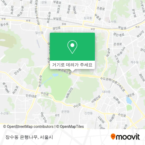 장수동 은행나무 지도