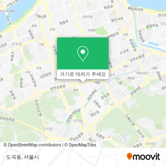 도곡동 지도