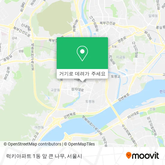 럭키아파트 1동 앞 큰 나무 지도