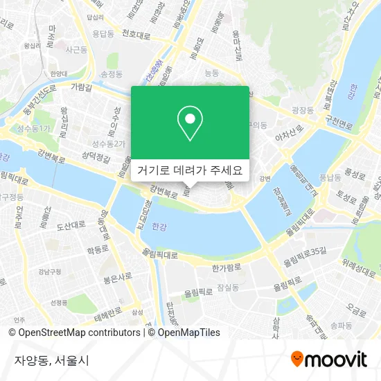 자양동 지도