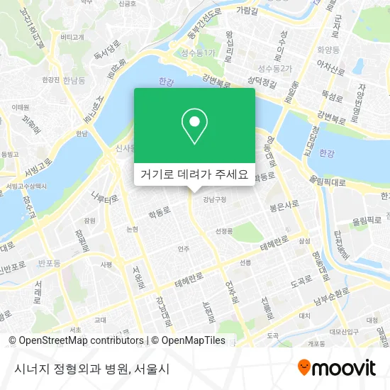 시너지 정형외과 병원 지도