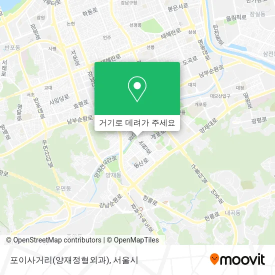 포이사거리(양재정형외과) 지도
