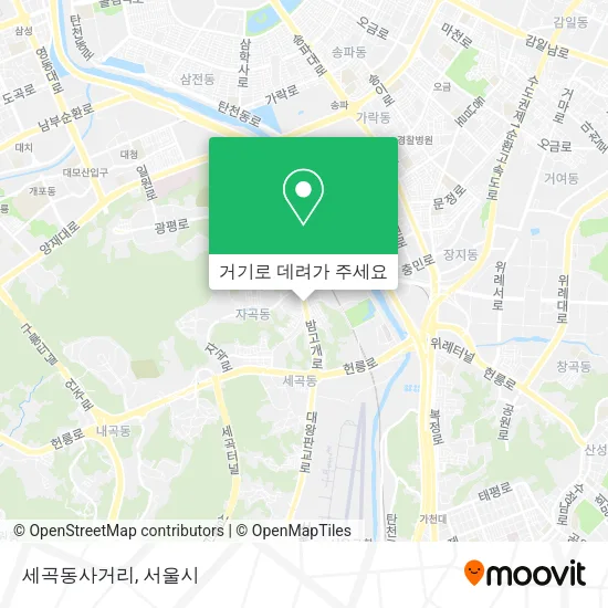 세곡동사거리 지도